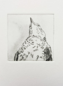 Threnody (Drypoint 2)